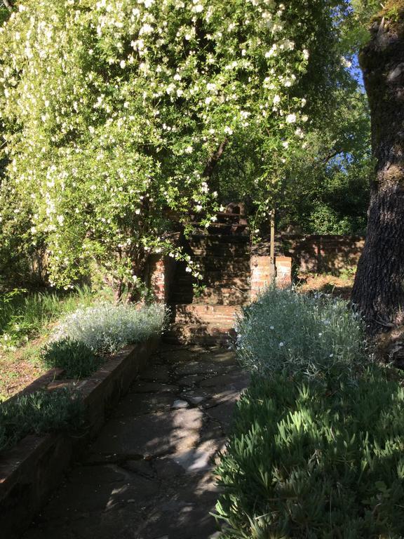 Apartmán La Berchiera Ciggiano Exteriér fotografie